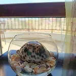 Aura Blu * Sunny Beach